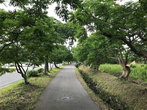 후쿠오카 근교 소도시, 시간이 멈춘 듯한 평화로움